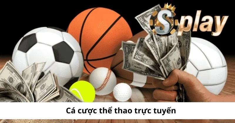 Giới thiệu Splay về sảnh cá cược thể thao