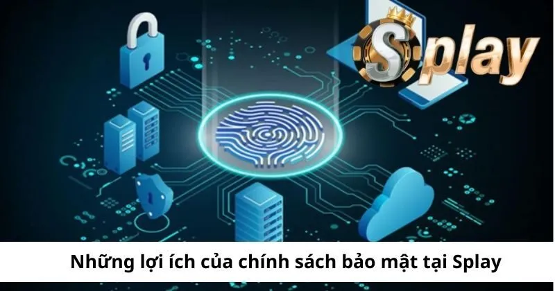 Lợi ích của chính sách bảo mật Splay